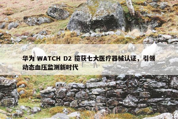 华为 WATCH D2 揽获七大医疗器械认证，引领动态血压监测新时代