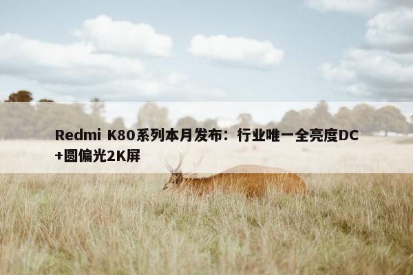 Redmi K80系列本月发布：行业唯一全亮度DC+圆偏光2K屏