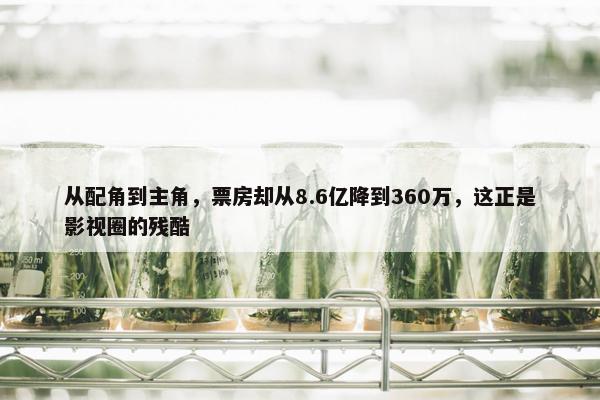 从配角到主角，票房却从8.6亿降到360万，这正是影视圈的残酷