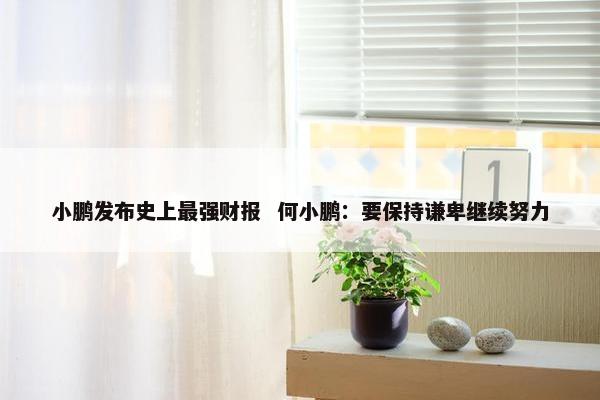 小鹏发布史上最强财报  何小鹏：要保持谦卑继续努力