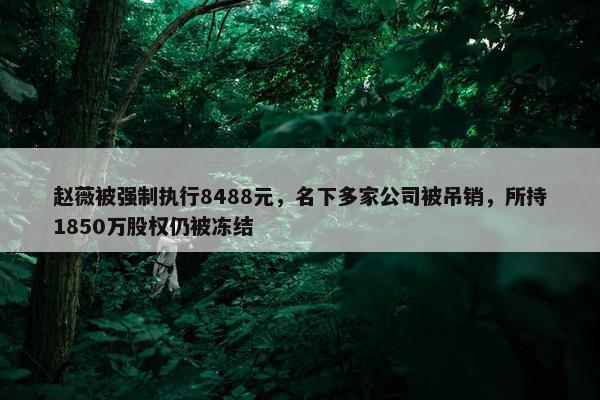 赵薇被强制执行8488元，名下多家公司被吊销，所持1850万股权仍被冻结