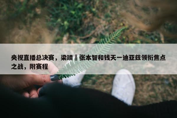 央视直播总决赛，梁靖崑张本智和钱天一迪亚兹领衔焦点之战，附赛程