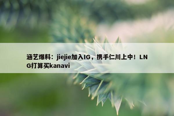 涵艺爆料：jiejie加入IG，携手仁川上中！LNG打算买kanavi