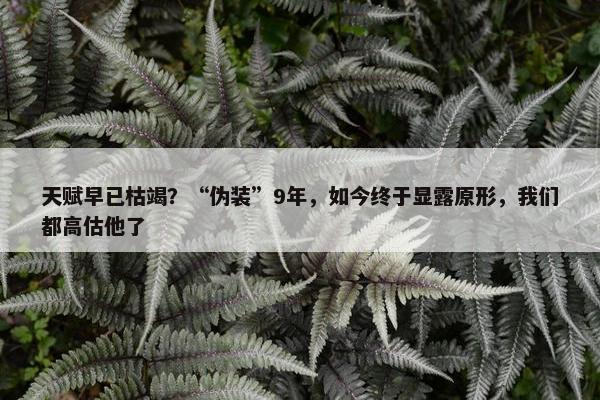 天赋早已枯竭？“伪装”9年，如今终于显露原形，我们都高估他了