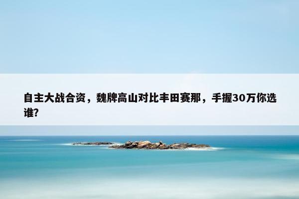 自主大战合资，魏牌高山对比丰田赛那，手握30万你选谁？