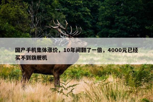 国产手机集体涨价，10年间翻了一倍，4000元已经买不到旗舰机