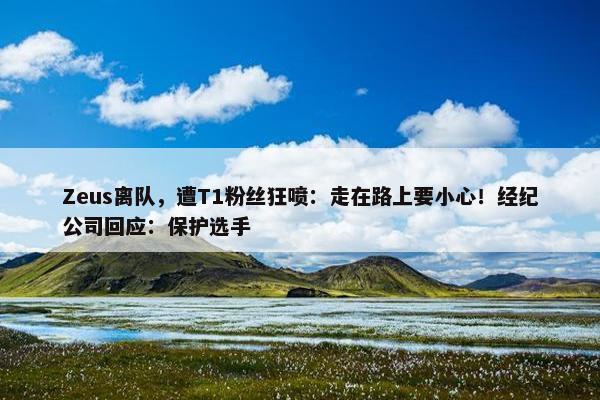 Zeus离队，遭T1粉丝狂喷：走在路上要小心！经纪公司回应：保护选手