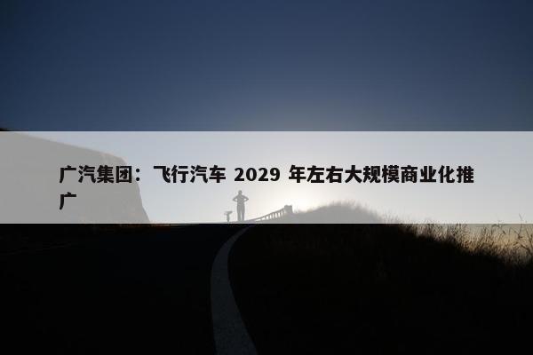 广汽集团：飞行汽车 2029 年左右大规模商业化推广