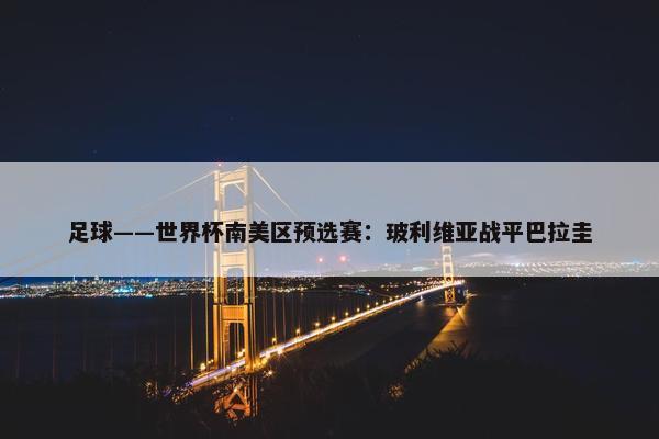 足球——世界杯南美区预选赛：玻利维亚战平巴拉圭