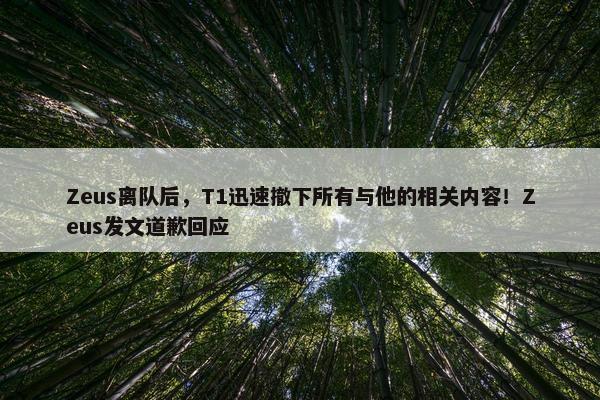 Zeus离队后，T1迅速撤下所有与他的相关内容！Zeus发文道歉回应