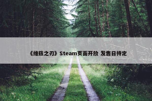 《维兹之刃》Steam页面开放 发售日待定