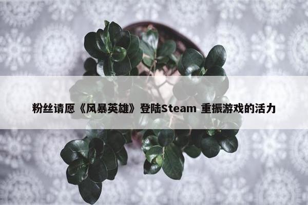 粉丝请愿《风暴英雄》登陆Steam 重振游戏的活力