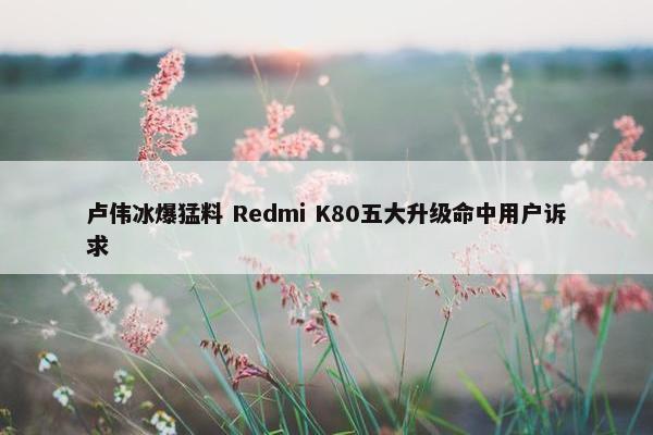 卢伟冰爆猛料 Redmi K80五大升级命中用户诉求