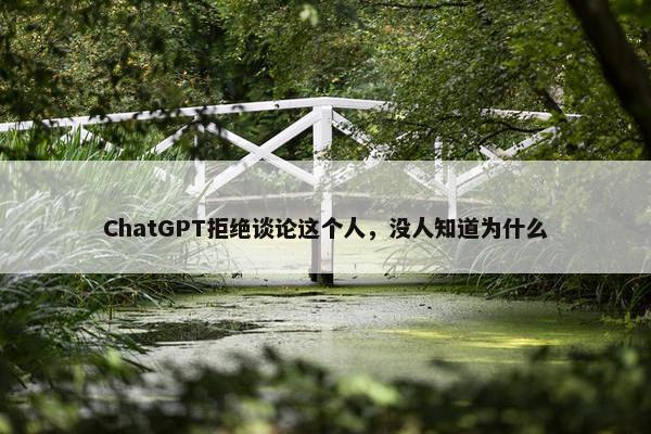 ChatGPT拒绝谈论这个人，没人知道为什么