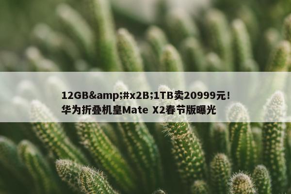 12GB&#x2B;1TB卖20999元！华为折叠机皇Mate X2春节版曝光