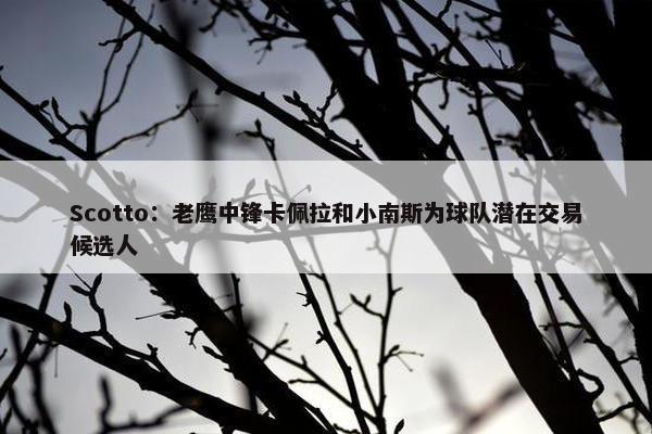 Scotto：老鹰中锋卡佩拉和小南斯为球队潜在交易候选人