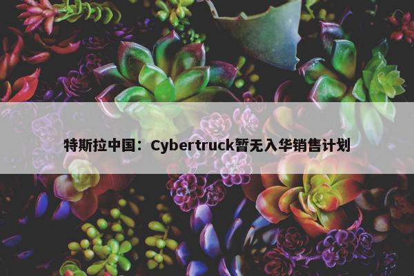 特斯拉中国：Cybertruck暂无入华销售计划