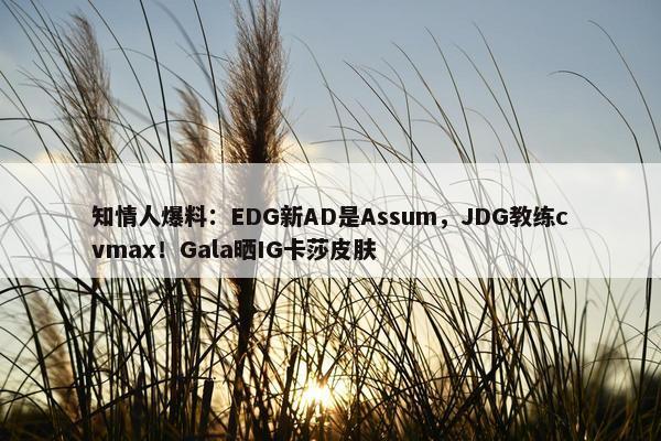 知情人爆料：EDG新AD是Assum，JDG教练cvmax！Gala晒IG卡莎皮肤