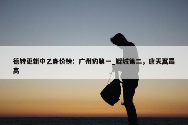 德转更新中乙身价榜：广州豹第一_鲲城第二，唐天翼最高