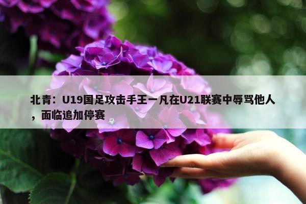 北青：U19国足攻击手王一凡在U21联赛中辱骂他人，面临追加停赛