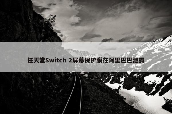 任天堂Switch 2屏幕保护膜在阿里巴巴泄露