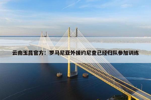 云南玉昆官方：罗马尼亚外援约尼查已经归队参加训练