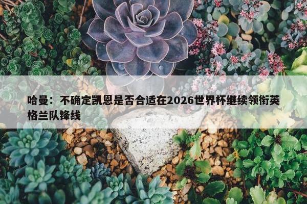 哈曼：不确定凯恩是否合适在2026世界杯继续领衔英格兰队锋线