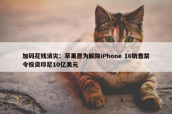 加码花钱消灾：苹果愿为解除iPhone 16销售禁令投资印尼10亿美元