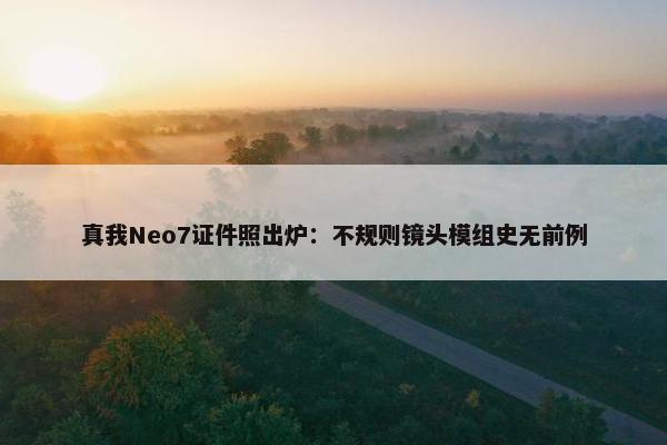 真我Neo7证件照出炉：不规则镜头模组史无前例