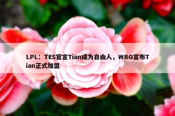 LPL：TES官宣Tian成为自由人，WBG宣布Tian正式加盟