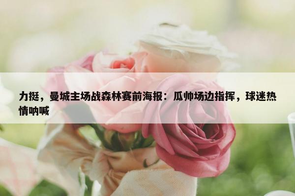 力挺，曼城主场战森林赛前海报：瓜帅场边指挥，球迷热情呐喊