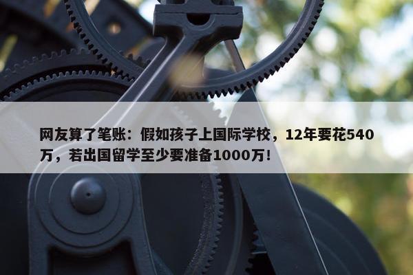 网友算了笔账：假如孩子上国际学校，12年要花540万，若出国留学至少要准备1000万！