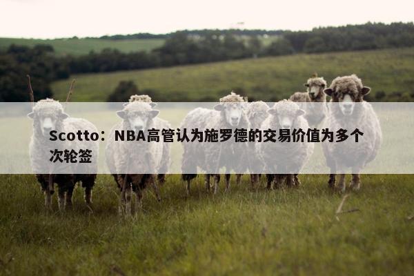 Scotto：NBA高管认为施罗德的交易价值为多个次轮签