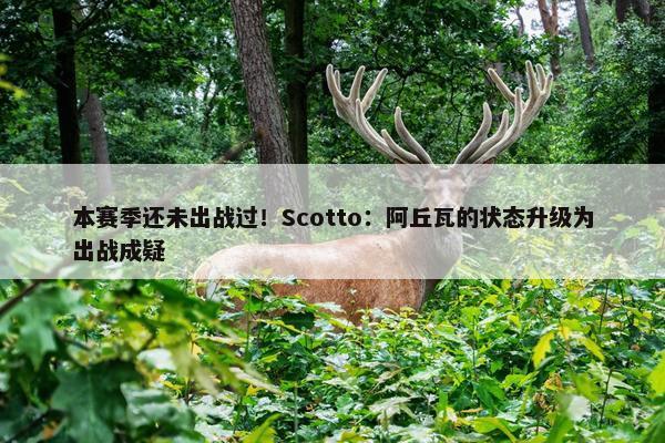 本赛季还未出战过！Scotto：阿丘瓦的状态升级为出战成疑