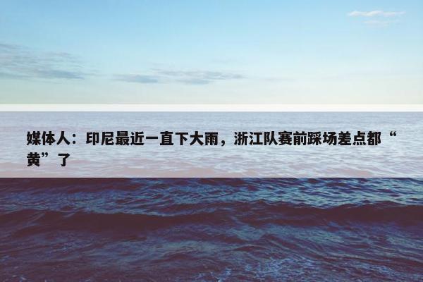 媒体人：印尼最近一直下大雨，浙江队赛前踩场差点都“黄”了