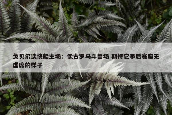 戈贝尔谈快船主场：像古罗马斗兽场 期待它季后赛座无虚席的样子