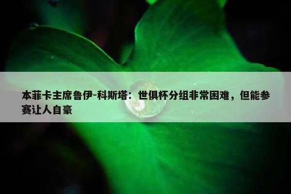 本菲卡主席鲁伊-科斯塔：世俱杯分组非常困难，但能参赛让人自豪