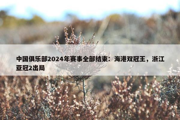 中国俱乐部2024年赛事全部结束：海港双冠王，浙江亚冠2出局