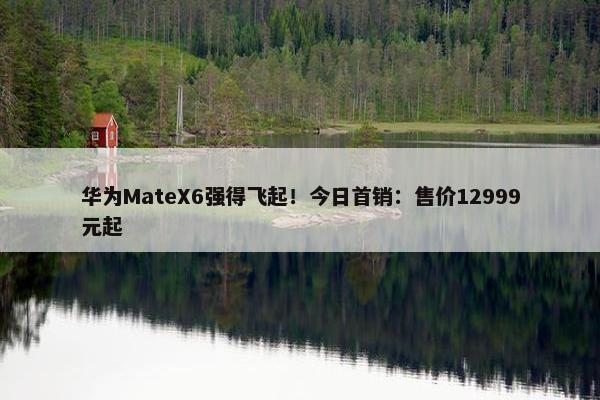 华为MateX6强得飞起！今日首销：售价12999元起