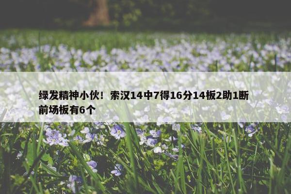 绿发精神小伙！索汉14中7得16分14板2助1断 前场板有6个