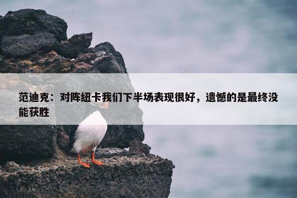 范迪克：对阵纽卡我们下半场表现很好，遗憾的是最终没能获胜