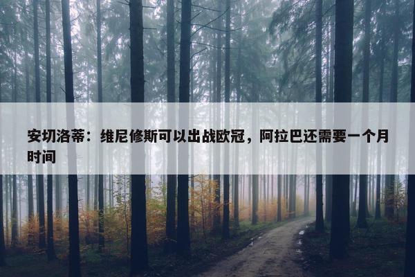 安切洛蒂：维尼修斯可以出战欧冠，阿拉巴还需要一个月时间