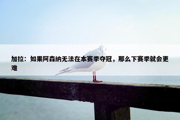 加拉：如果阿森纳无法在本赛季夺冠，那么下赛季就会更难