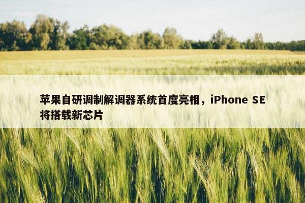 苹果自研调制解调器系统首度亮相，iPhone SE将搭载新芯片