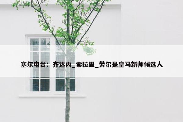 塞尔电台：齐达内_索拉里_劳尔是皇马新帅候选人