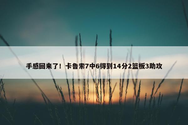 手感回来了！卡鲁索7中6得到14分2篮板3助攻