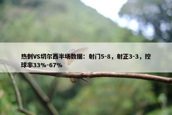 热刺VS切尔西半场数据：射门5-8，射正3-3，控球率33%-67%