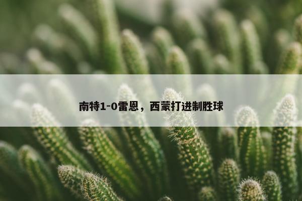 南特1-0雷恩，西蒙打进制胜球