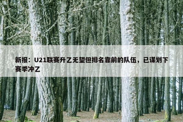 新报：U21联赛升乙无望但排名靠前的队伍，已谋划下赛季冲乙