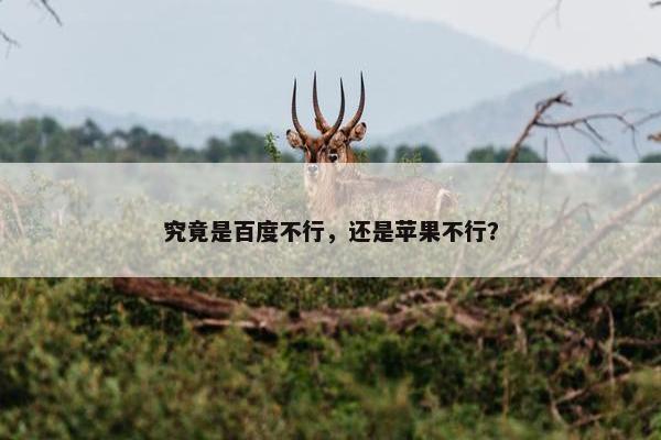 究竟是百度不行，还是苹果不行？